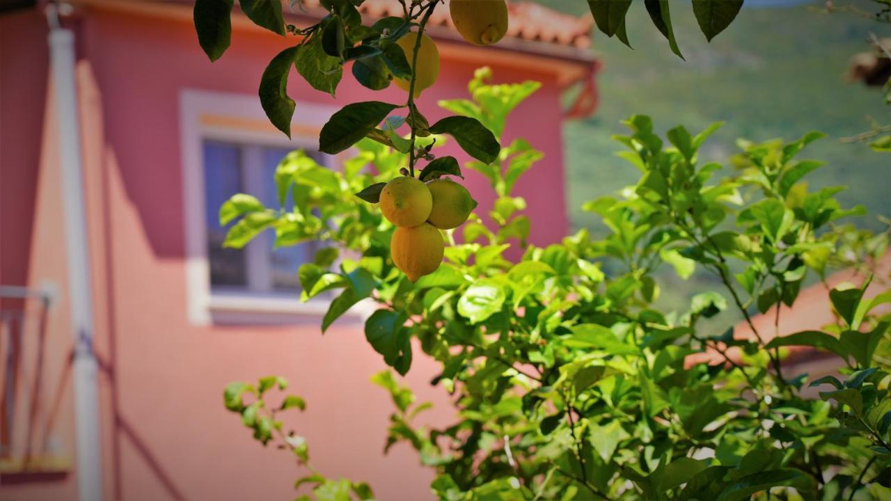 Hotel Tourist Parga Dış mekan fotoğraf